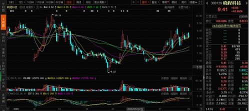 玉米高位運行 飼料行情起飛，計算機軟件板塊投資機遇顯現
